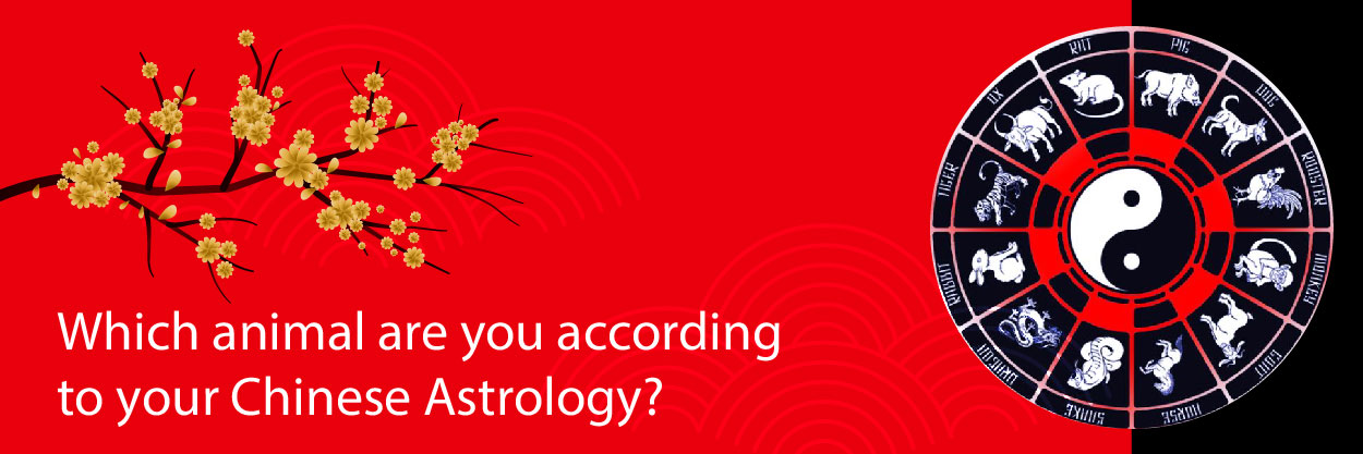 Which Animal Are You According to your Chinese Astrology? 